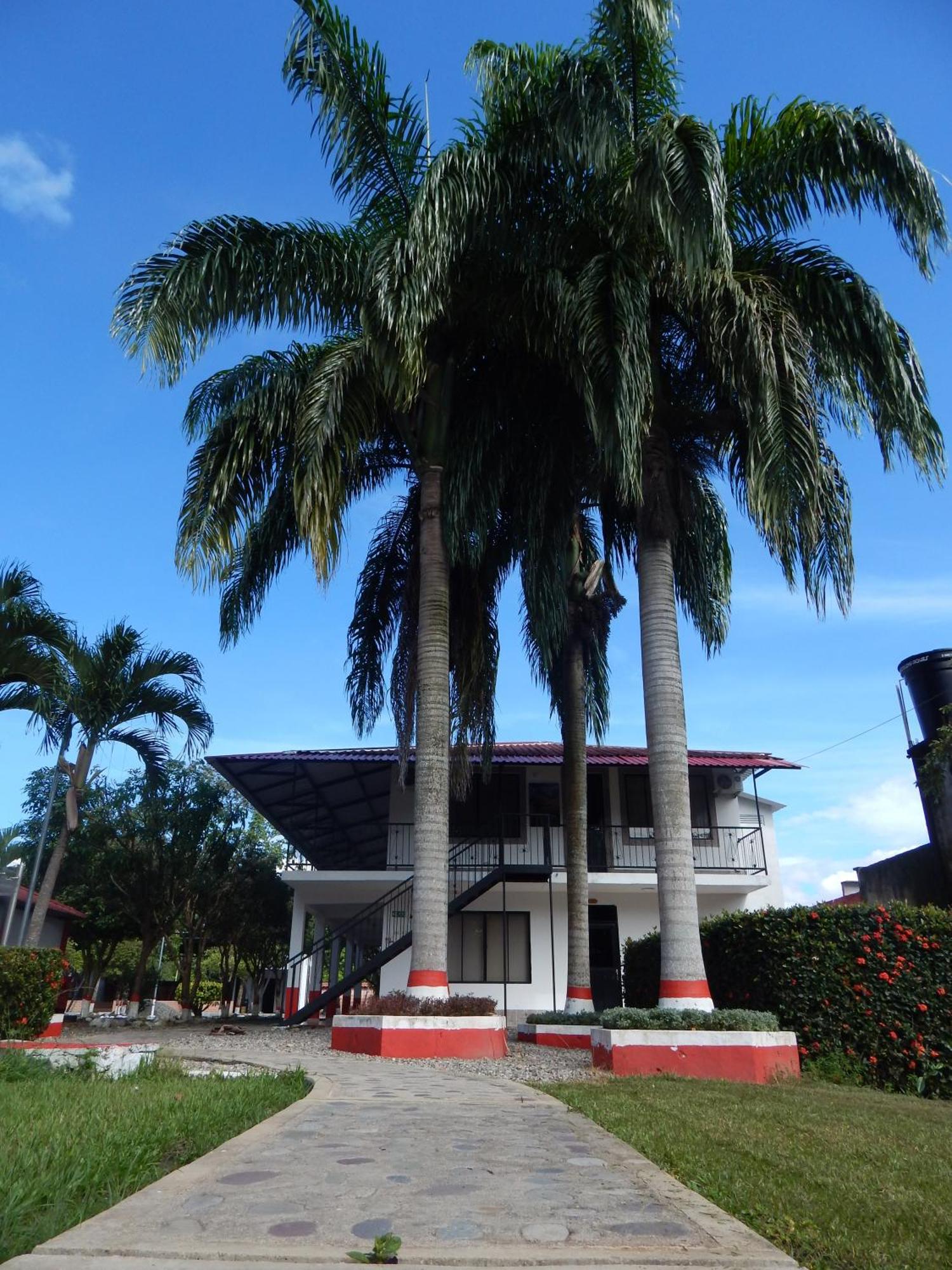 Hotel Campestre Las Palmas Sas Вильявисенсио Экстерьер фото